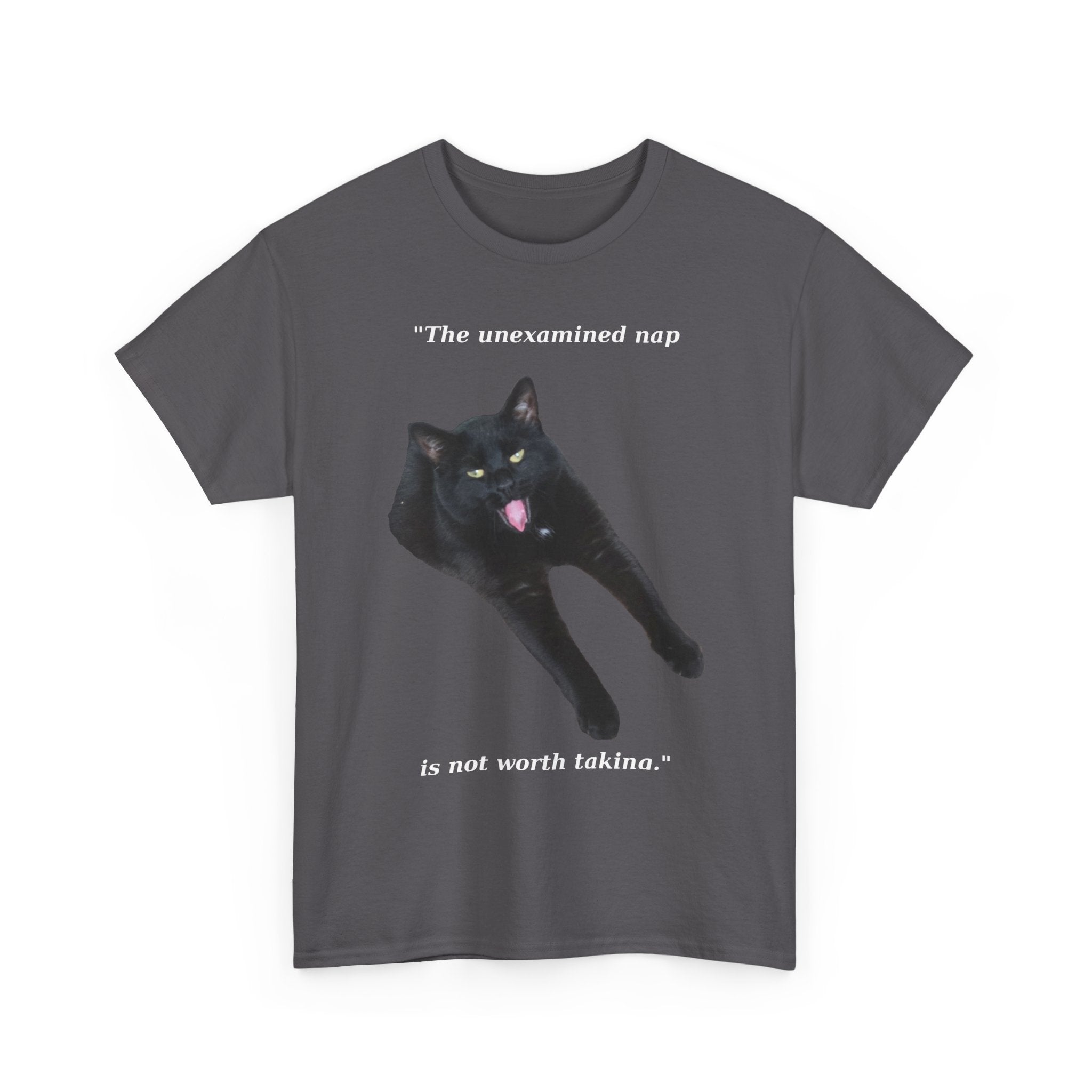 The Unexamined Nap T Shirt