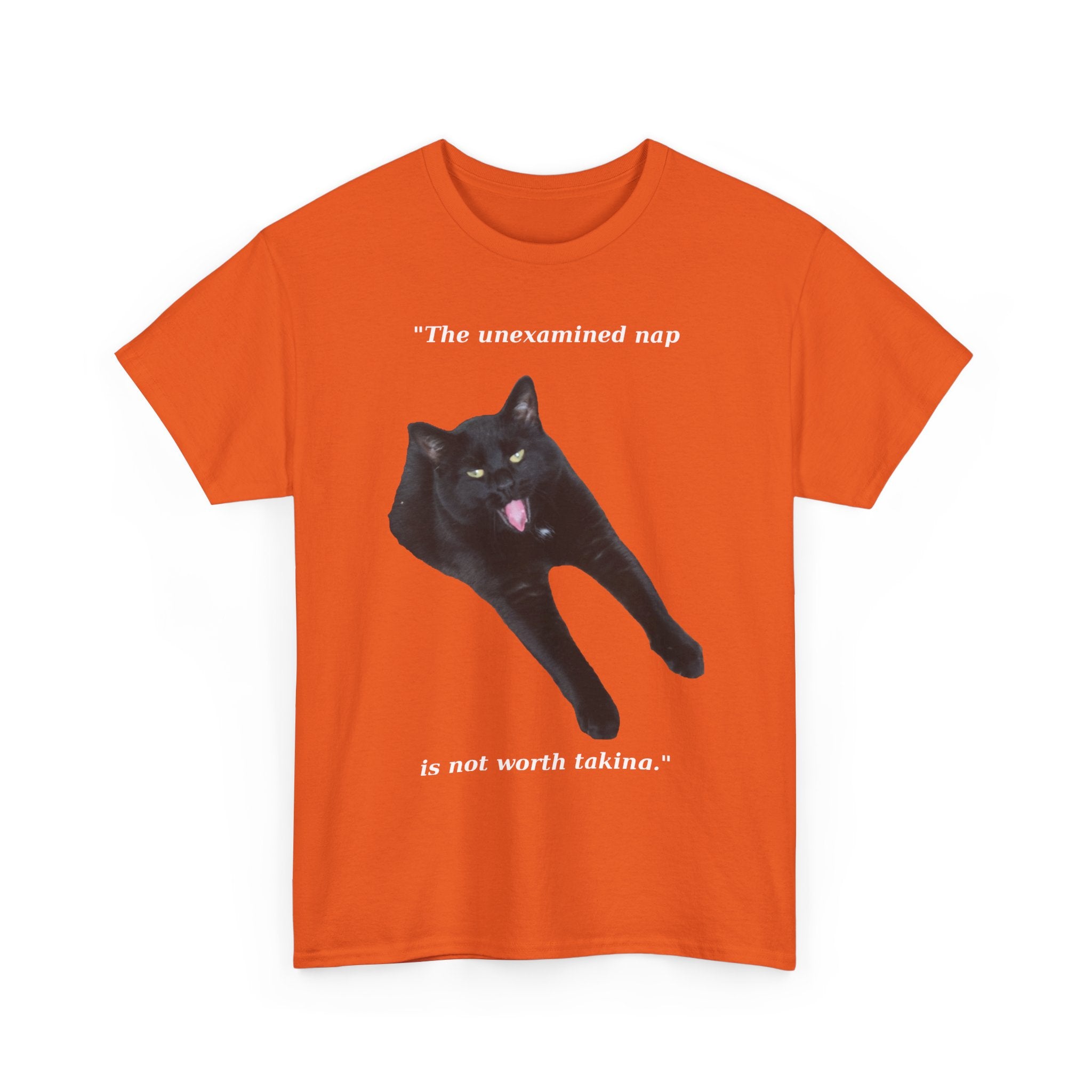 The Unexamined Nap T Shirt