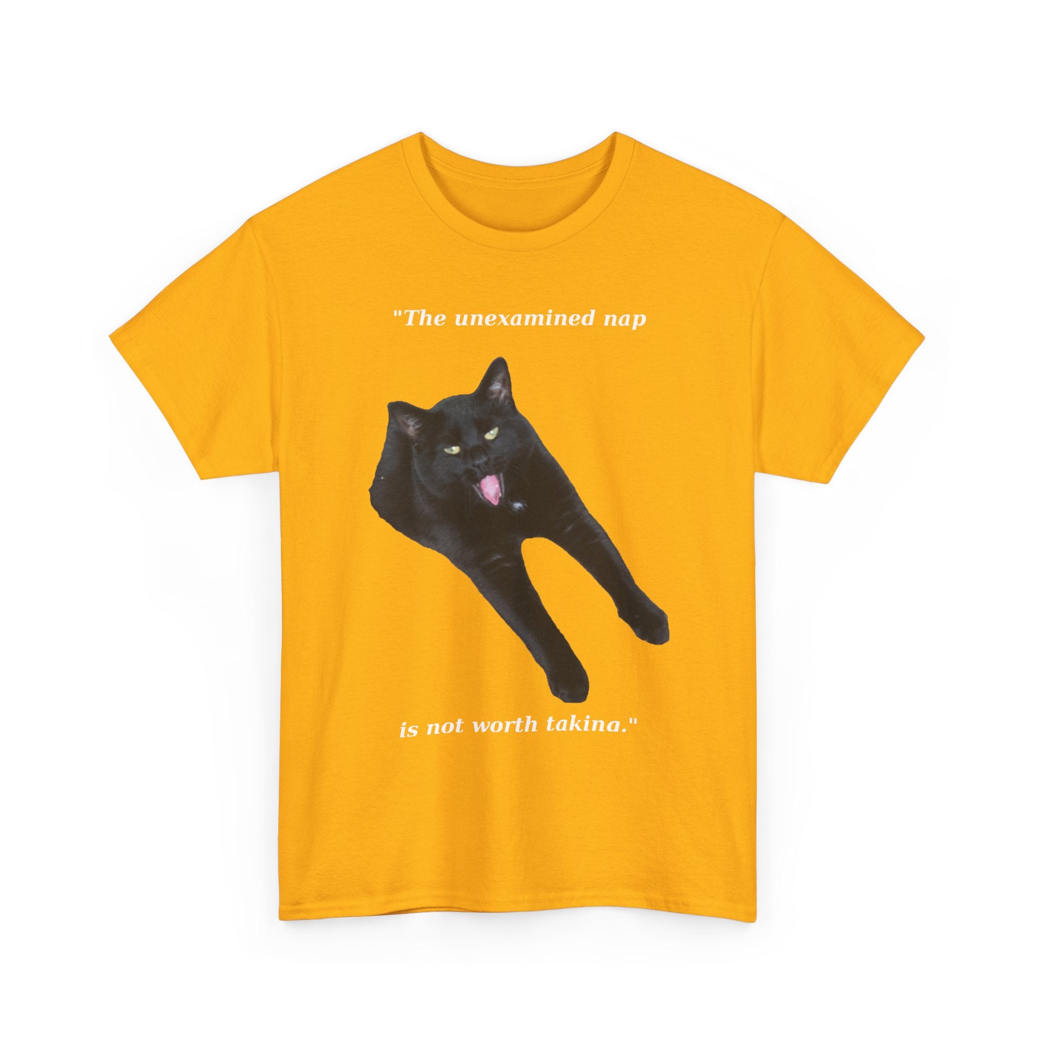 The Unexamined Nap T Shirt