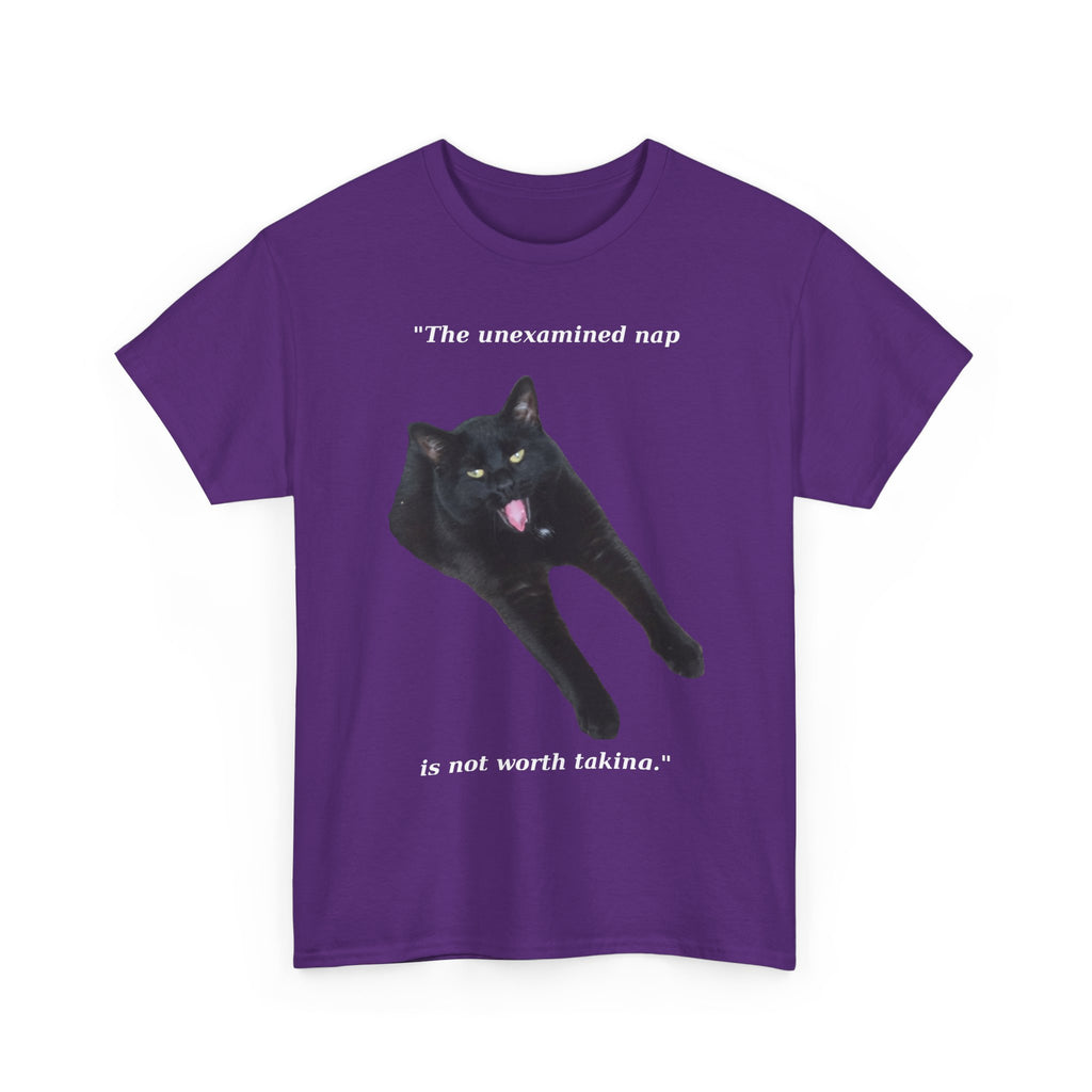 The Unexamined Nap T Shirt